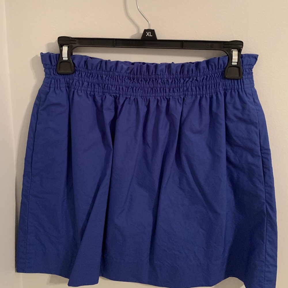 J.Crew Skirt